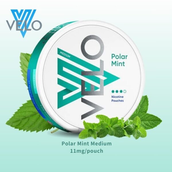 velo mouth bag (Arctic Mint 11mg)25 bottles